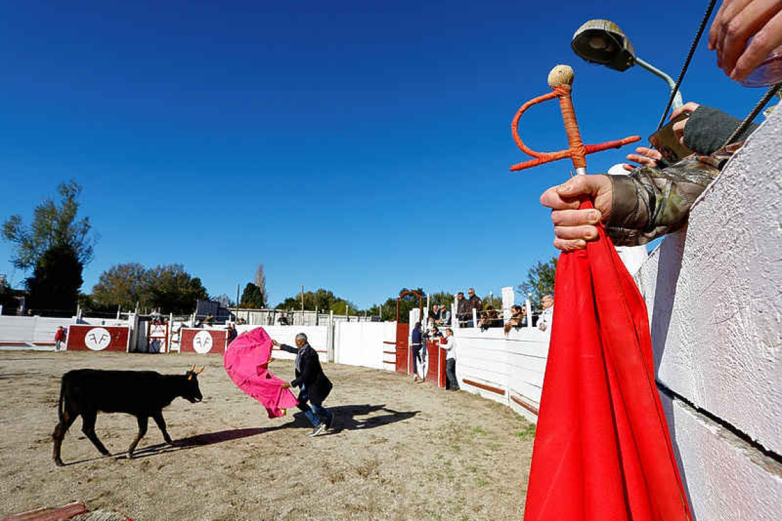 Art or torture? France MPs debate banning bullfighting