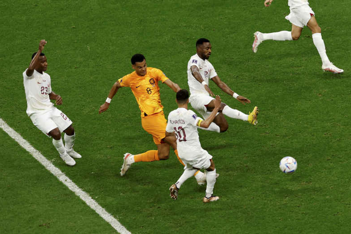 Gakpo on target again as Dutch beat Qatar 2-0 to top Group A