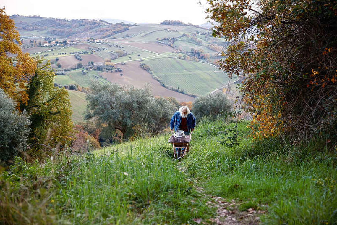No energy worries for Italy's 'harmonious walnut tribe'
