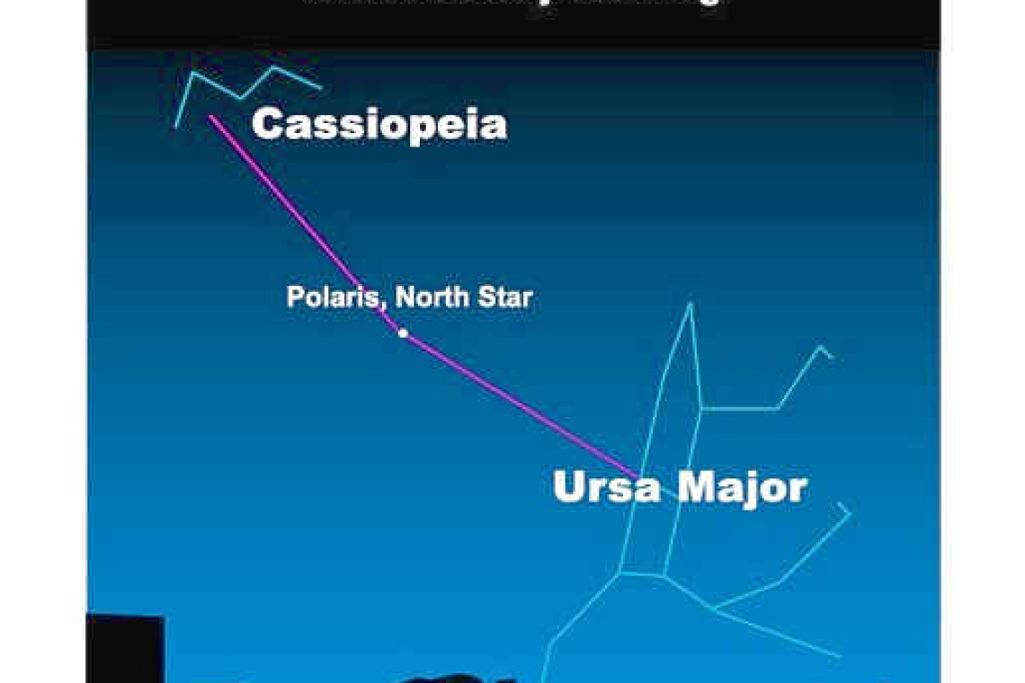 Cassiopeia the Queen and Canis Major: Looking up at the Nightsky