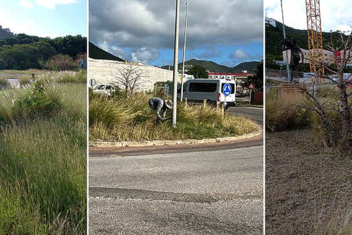 Cay Hill roundabout spruced  up by MP Wescot and team