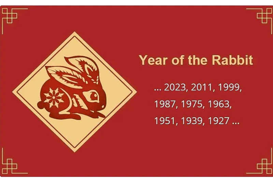 The Year of the Water Rabbit: Chinese New Year