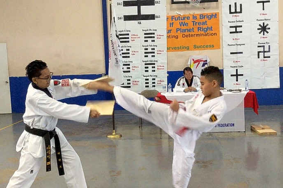 Seventeen pass Taekwondo exam