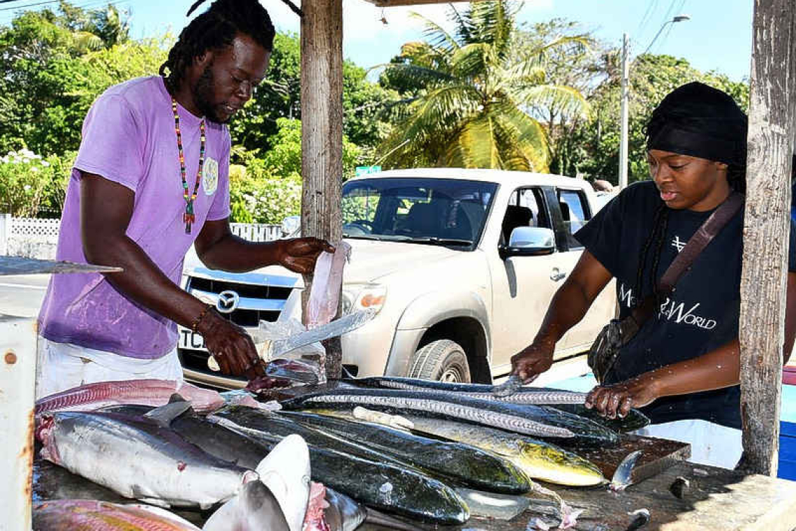 Expect to pay TTD 50 per pound of  fish in Tobago for Easter – ATFA