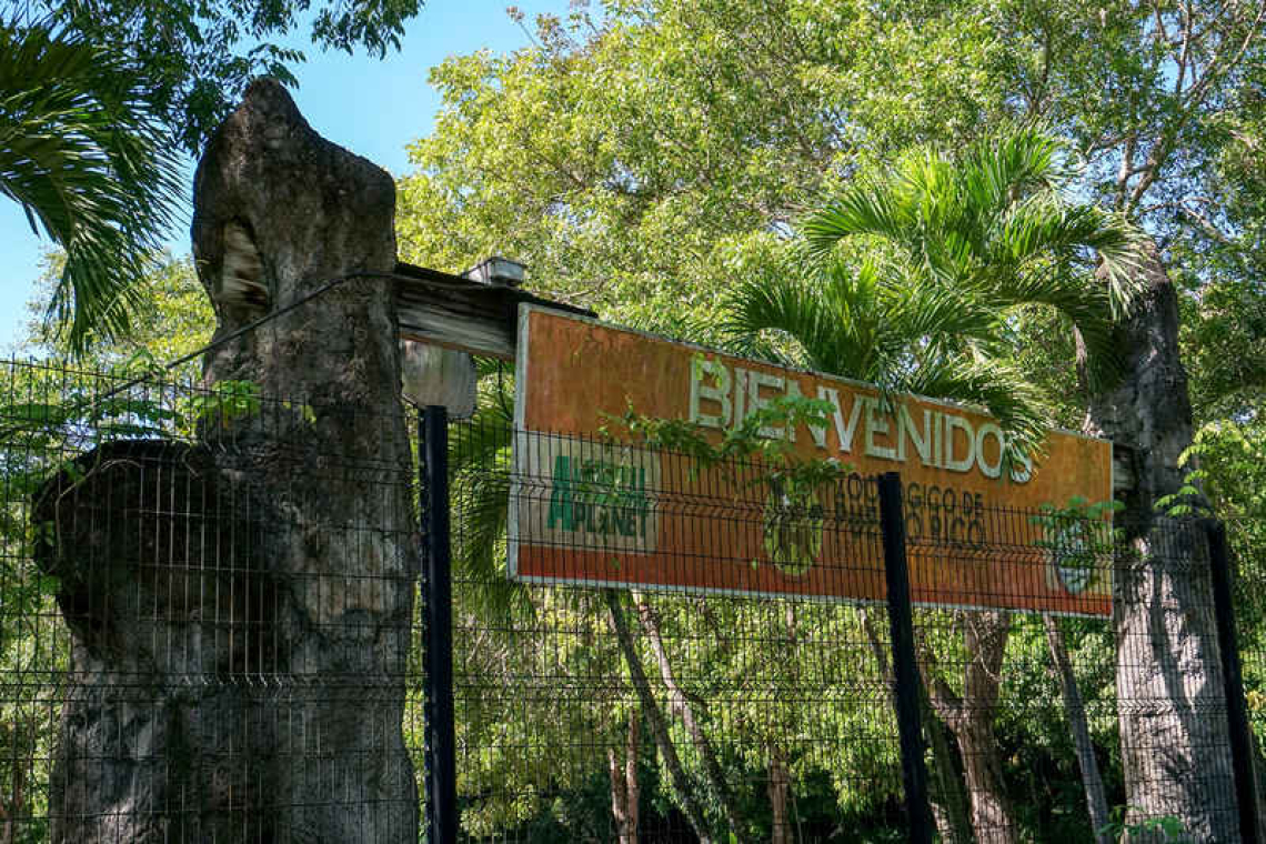 Puerto Rico to close zoo  after years of complaints