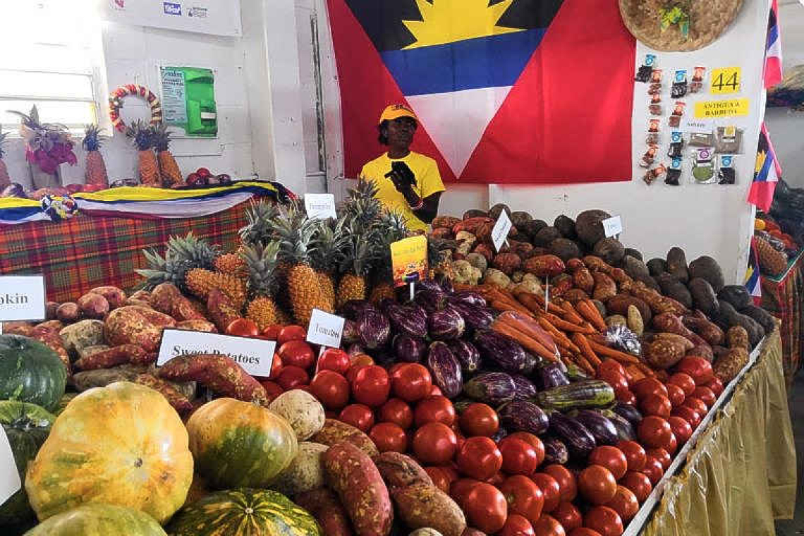 Antigua & Barbuda ready to export  agricultural products internationally