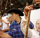 Rattlesnake Roundup: Texas tradition runs into criticism