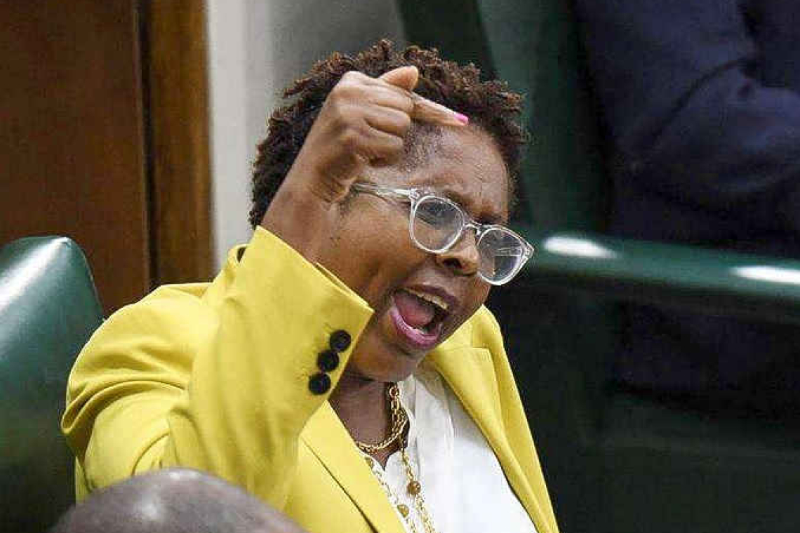       Brown Burke calls for  ‘reset’ in Parliament   