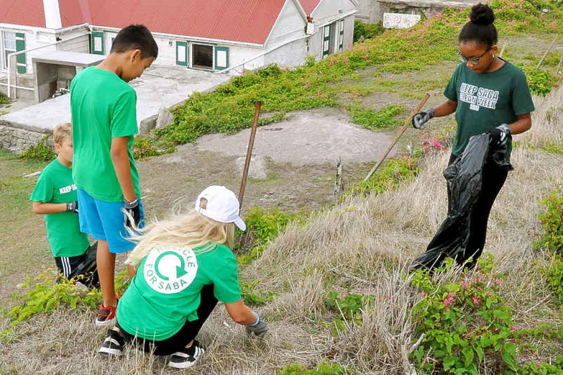 Sustainable Fair, clean-up,  tree planting for Earth Day