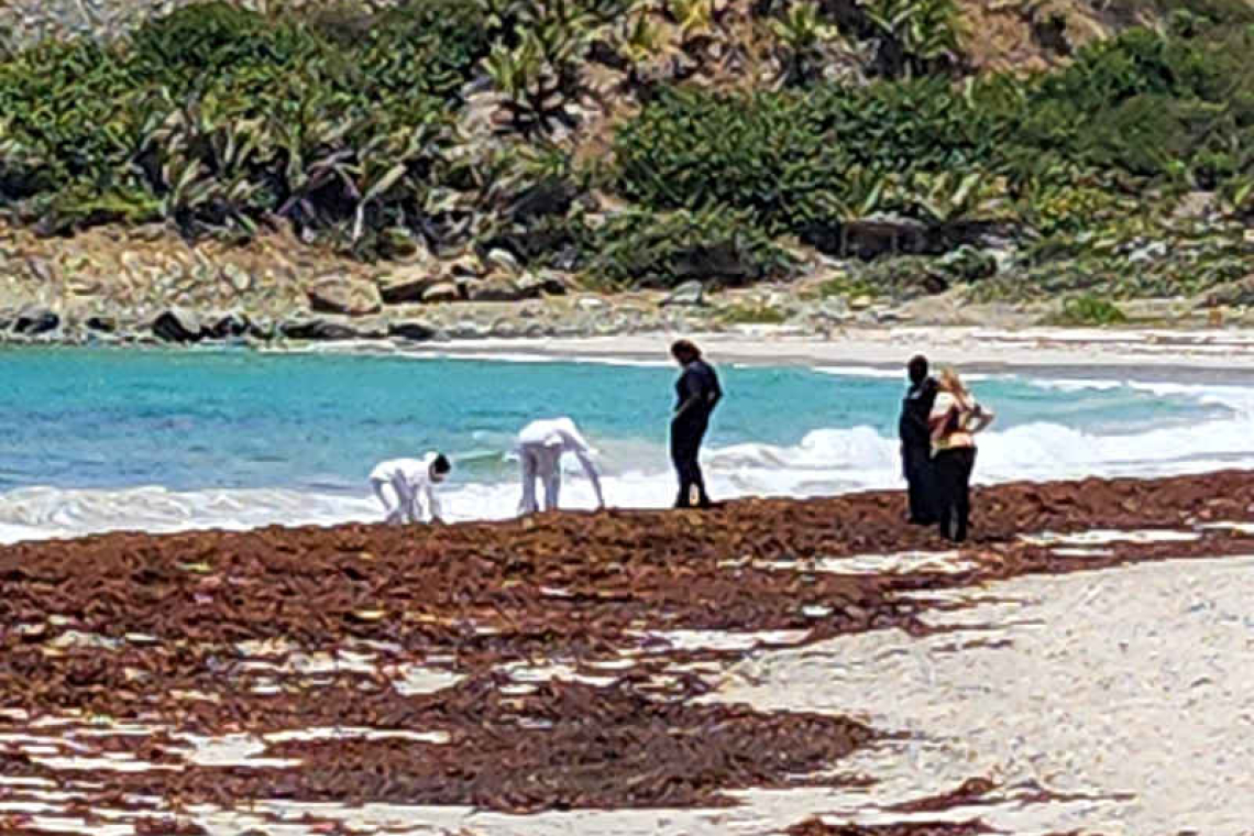 Two lifeless bodies wash ashore  in Guana Bay, identity not known