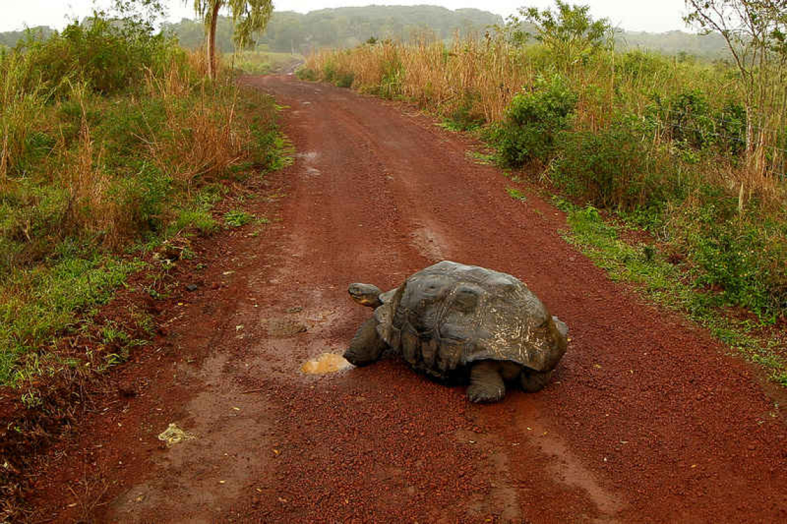 Ecuador seals record debt-for-nature swap with Galapagos Islands bond