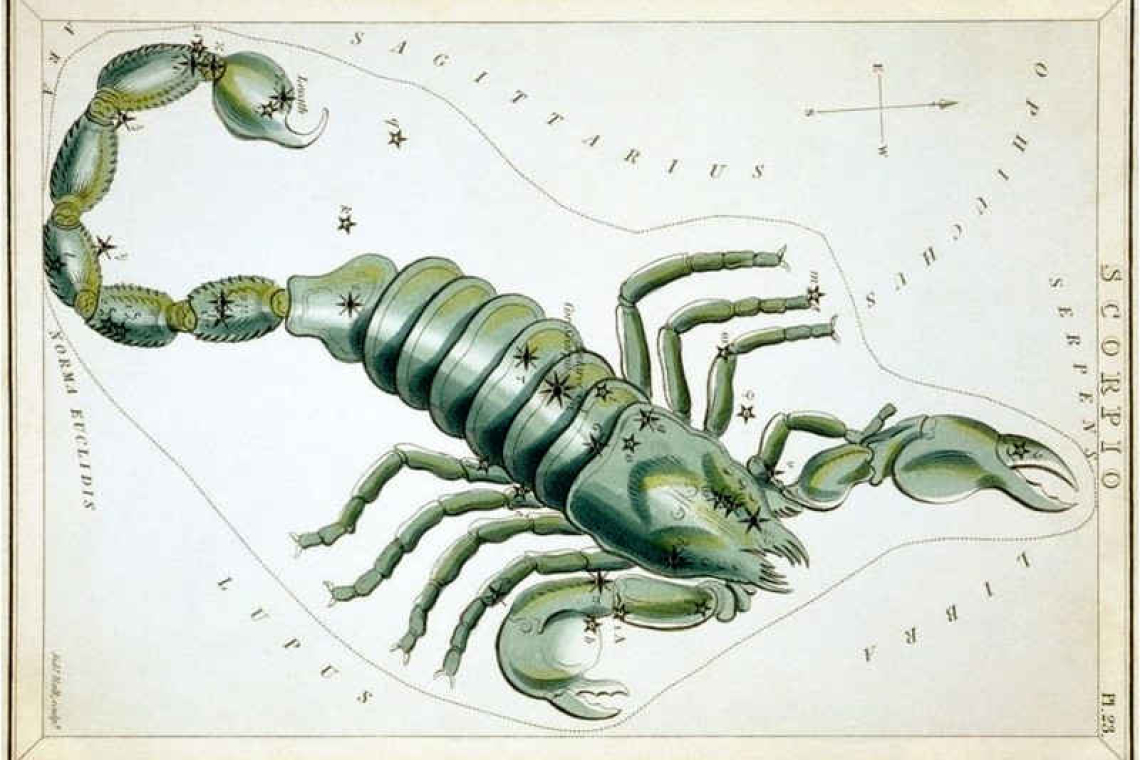 Find Scorpius in our southern sky: Looking up at the Nightsky