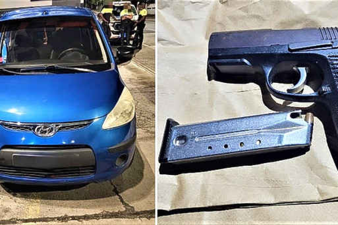       Police officers discover a gun,  suspect tries to pull it on them