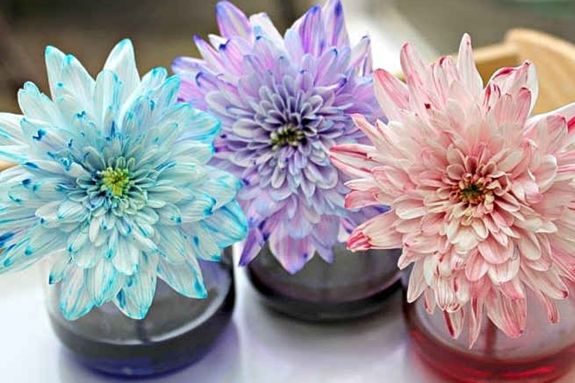 Colour-changing flowers