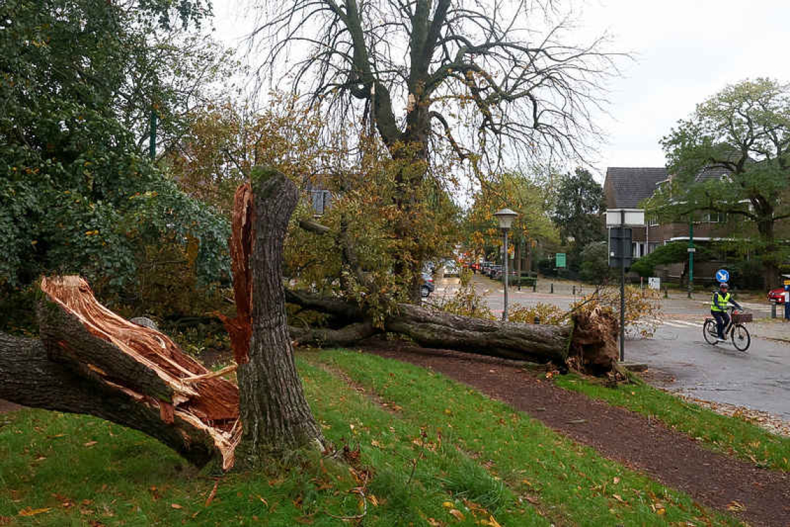 Storm Ciaran kills six people, lashes Europe with strong winds and rain