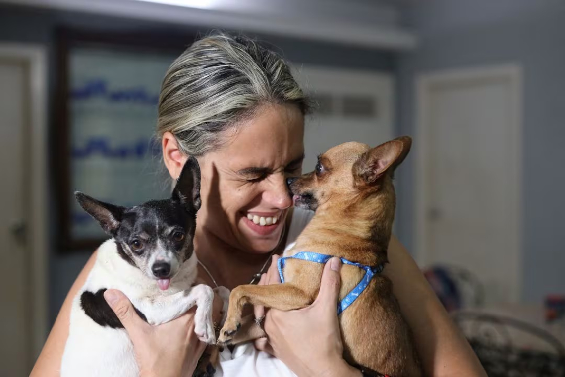 In Cuba, migration  is for the dogs too