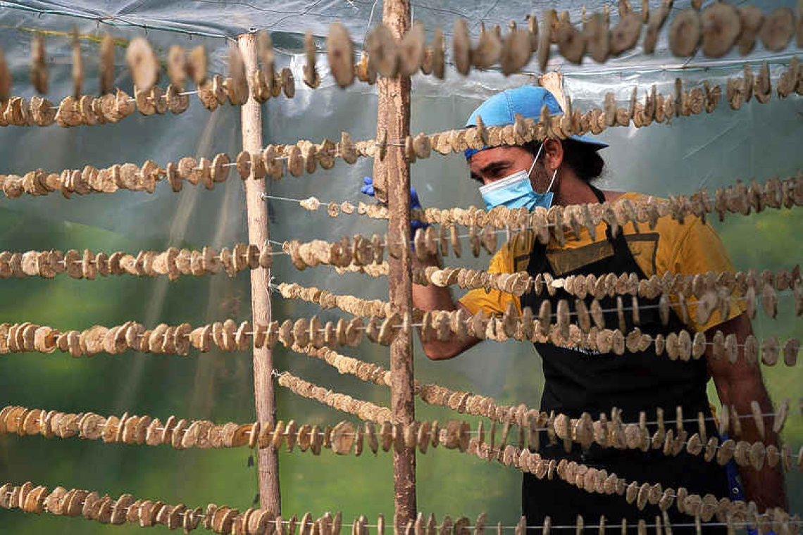 Family business produces flour from  coconut, yucca as shortages fester