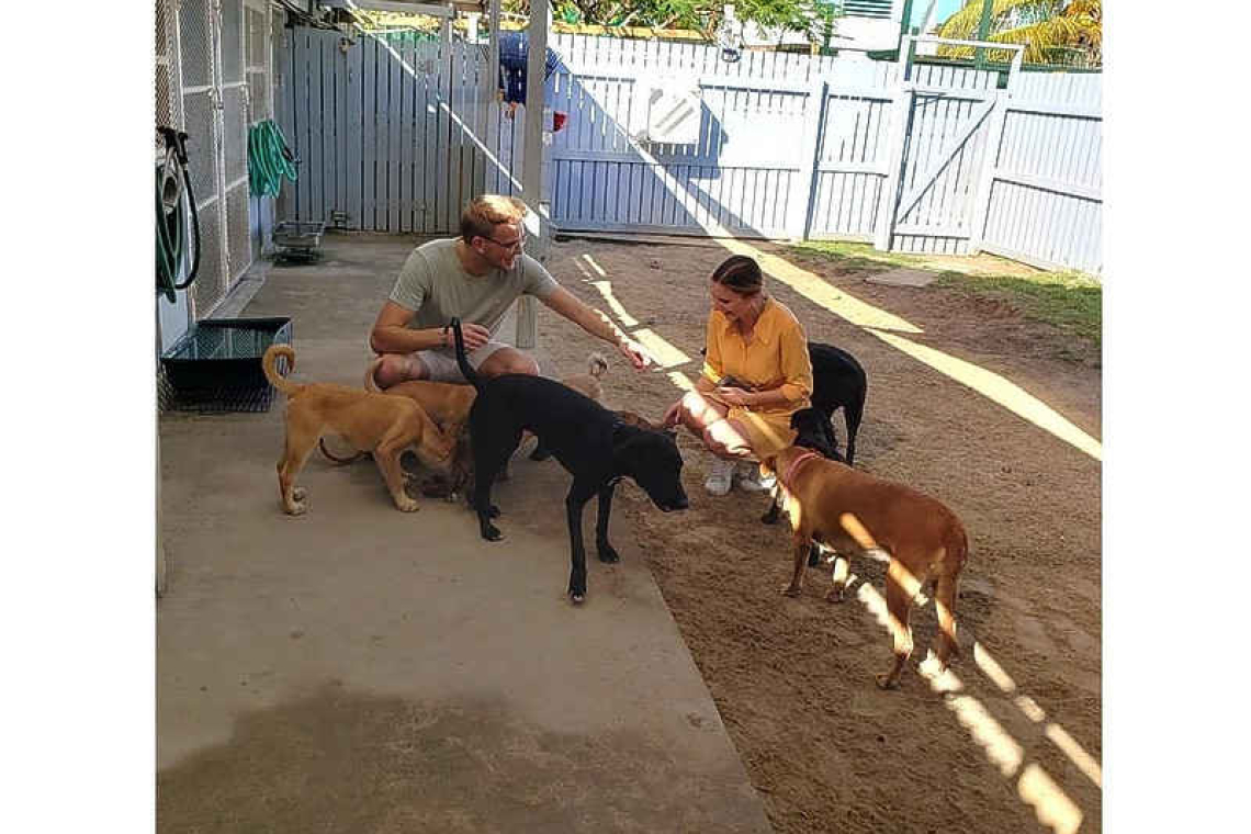 SXM PAWS and R4CR upgraded St. Maarten’s only animal shelter
