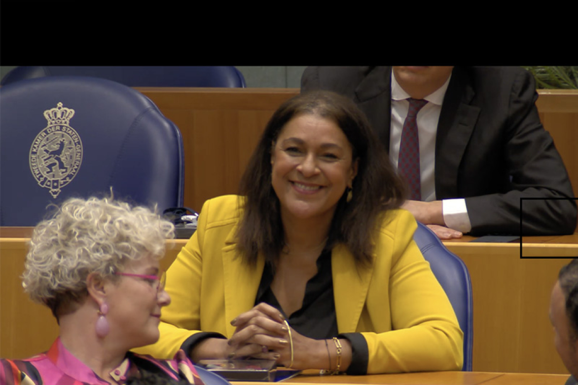 MP Jorien Wuite leaves  Dutch Second Chamber