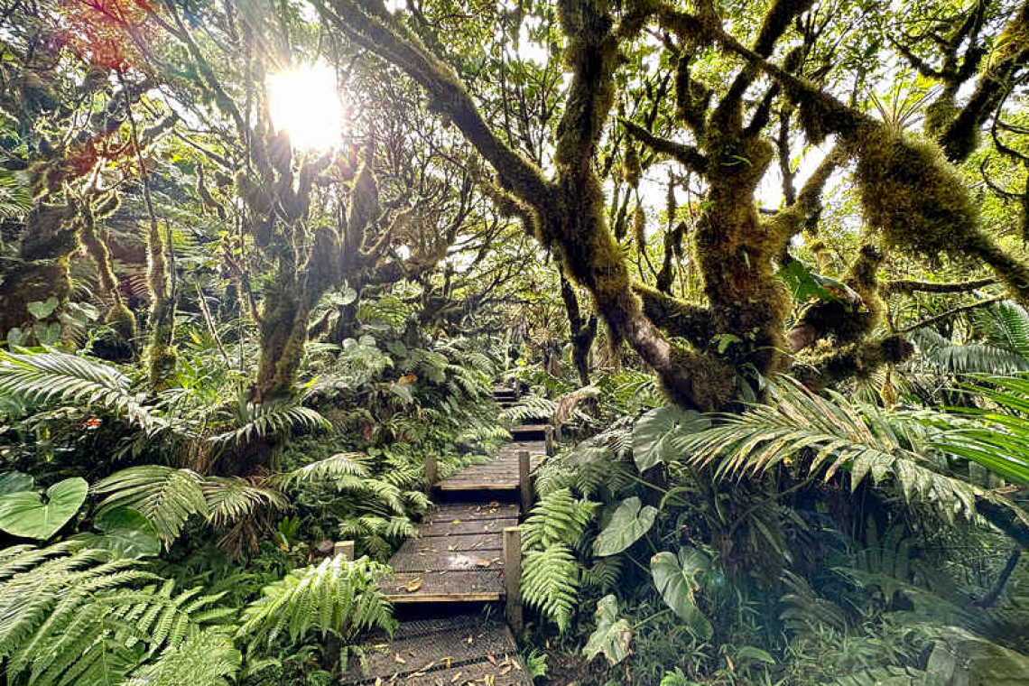 Welcome to Saba, a different Caribbean!