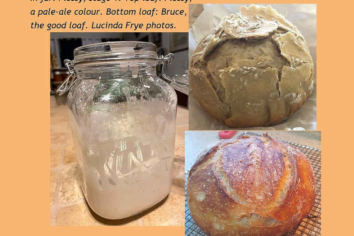 Working with sourdough :The Passionate Foodie