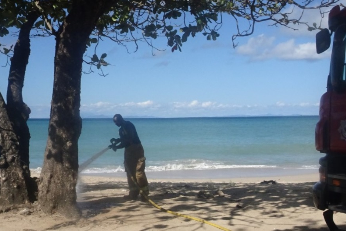 Tree fire at Vigie Beach believed  to have been deliberately set