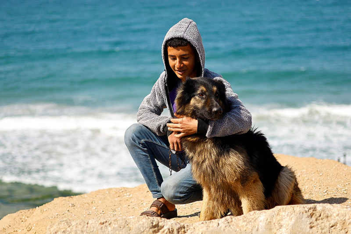 Pet dogs bring both joy and worry to displaced Gaza teen 