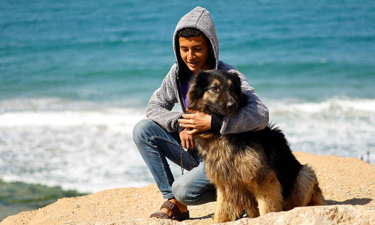 Pet dogs bring both joy and worry to displaced Gaza teen 