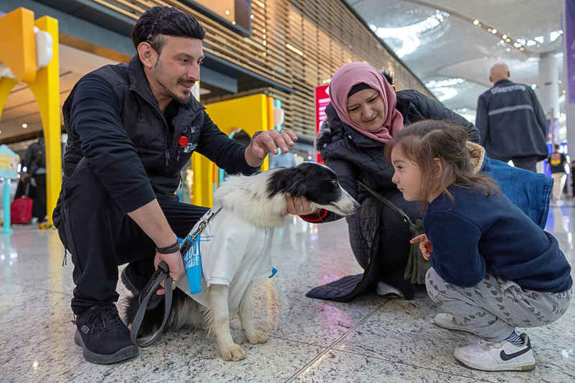 Therapy dogs comfort passengers at airport 
