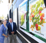 ‘Bermuda Fruits’ stamp  collection unveiled
