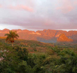 Wildfire razes pine lands near  top Cuba tourist town Viñales