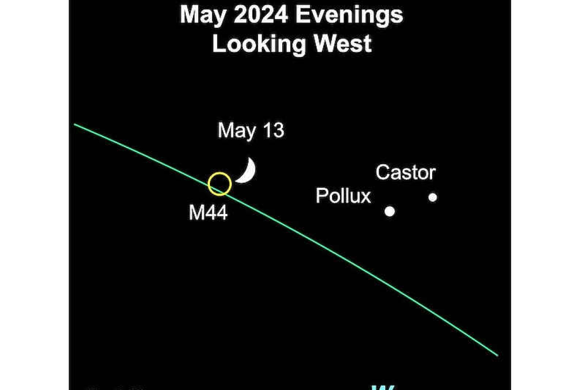 It’s the Eta Aquarid Meteor Shower!: Looking up at the Night Sky