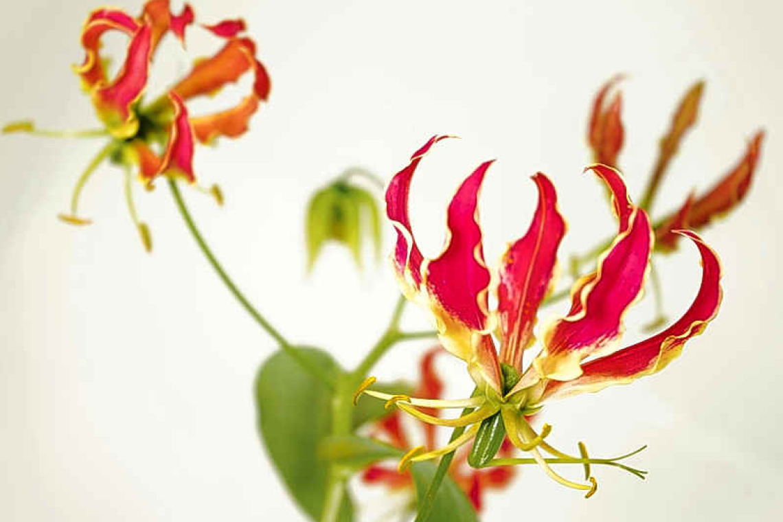 A poison we may benefit from in future