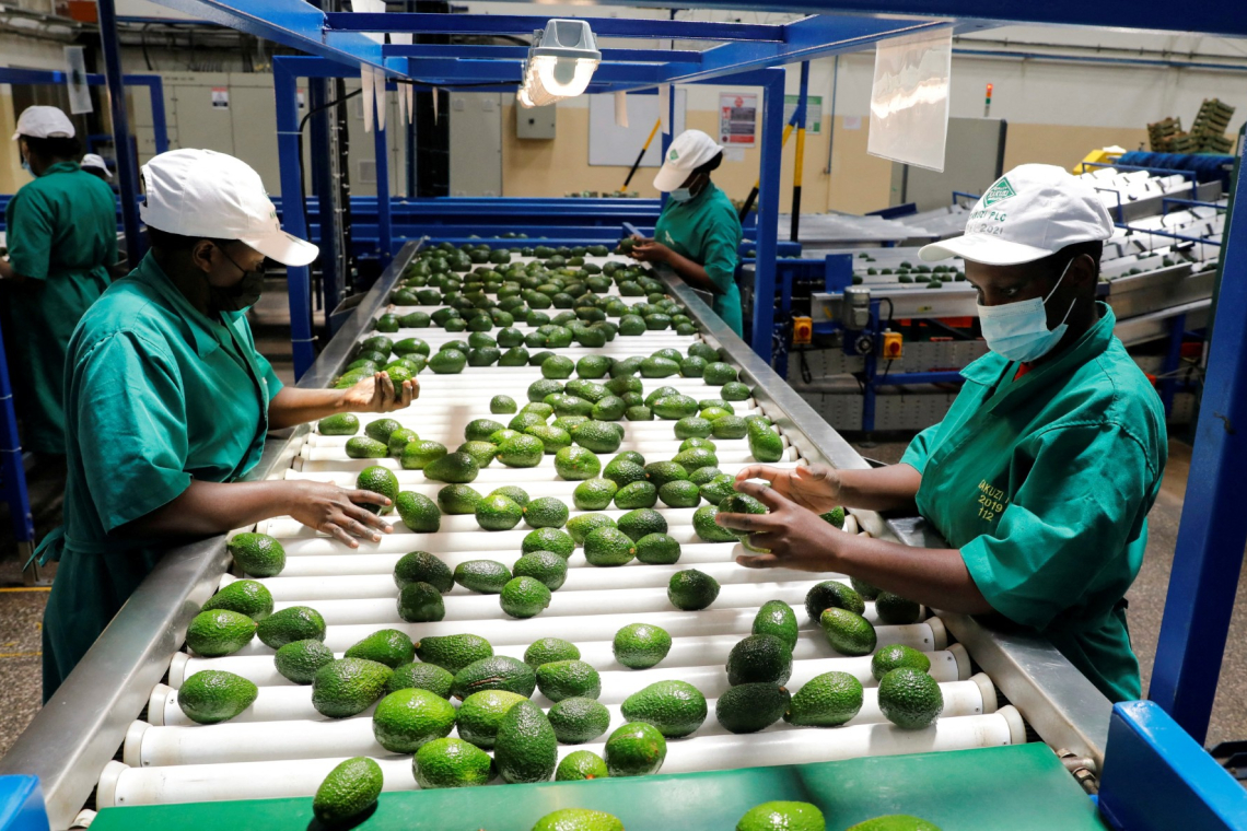 China is back in Africa and doubling down on minerals