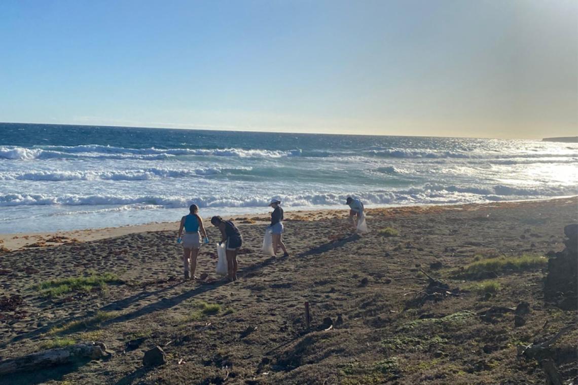 Students clean beach