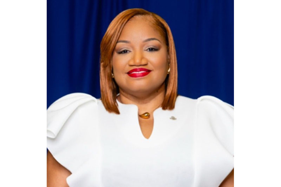 Gumbs, TEATT, VSA meet with  SER on proposed tourist tax law