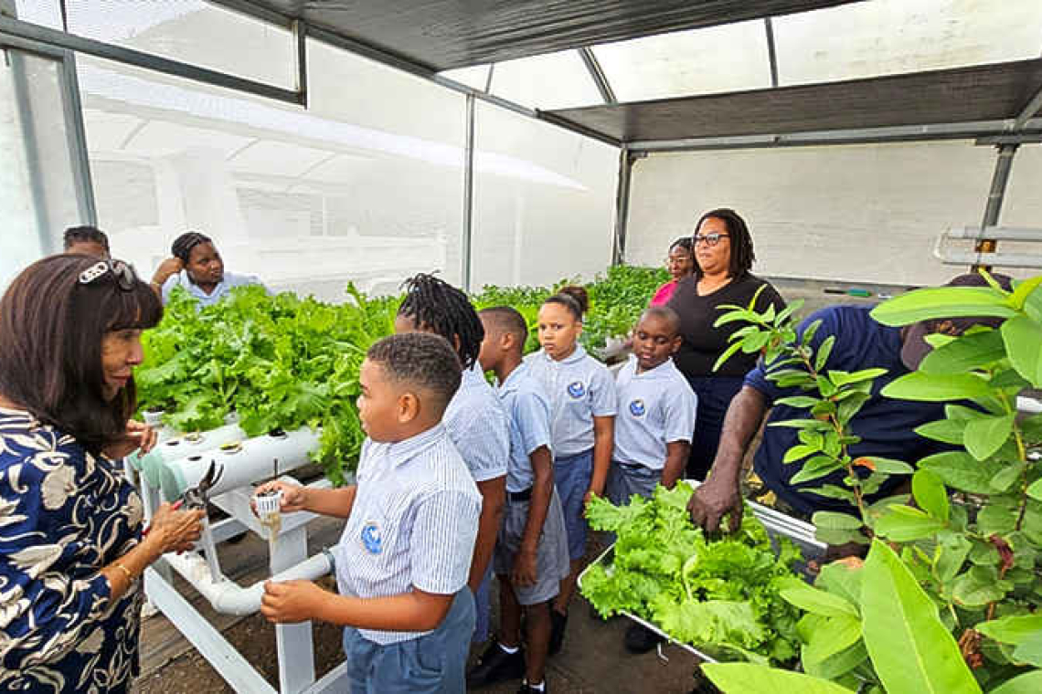 EU-funded agriculture pilot project  brings hydroponics to eight schools