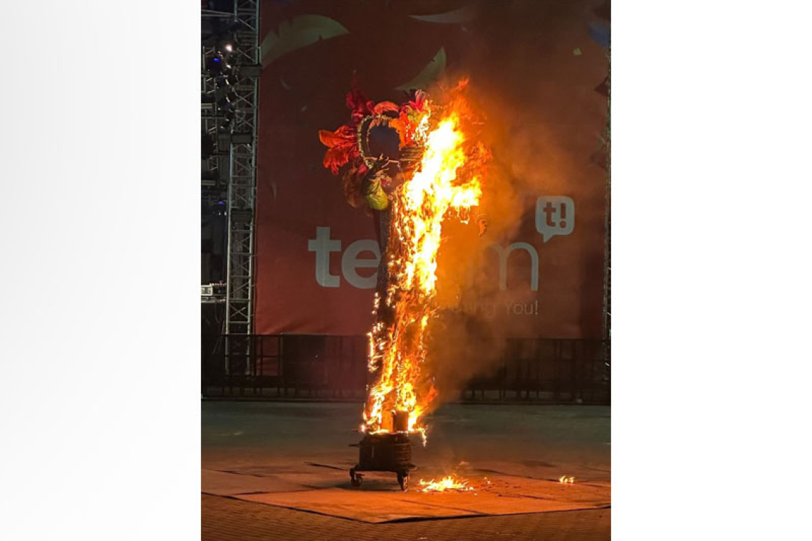 Momo Burned 