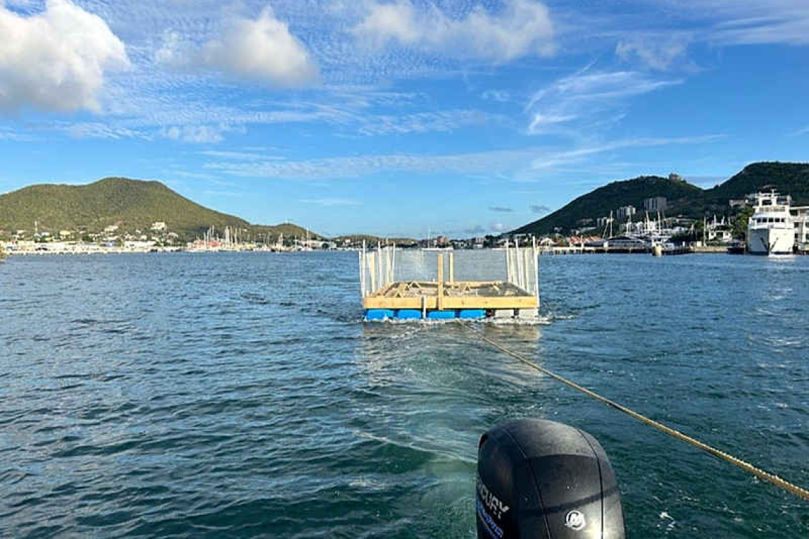 EPIC and PJIA launch floating  nesting platform for least terns