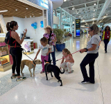 Pets at the gate: airport  welcomes adoptable dogs