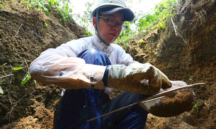 In Hiroshima, search for remains  keeps war alive for lone volunteer