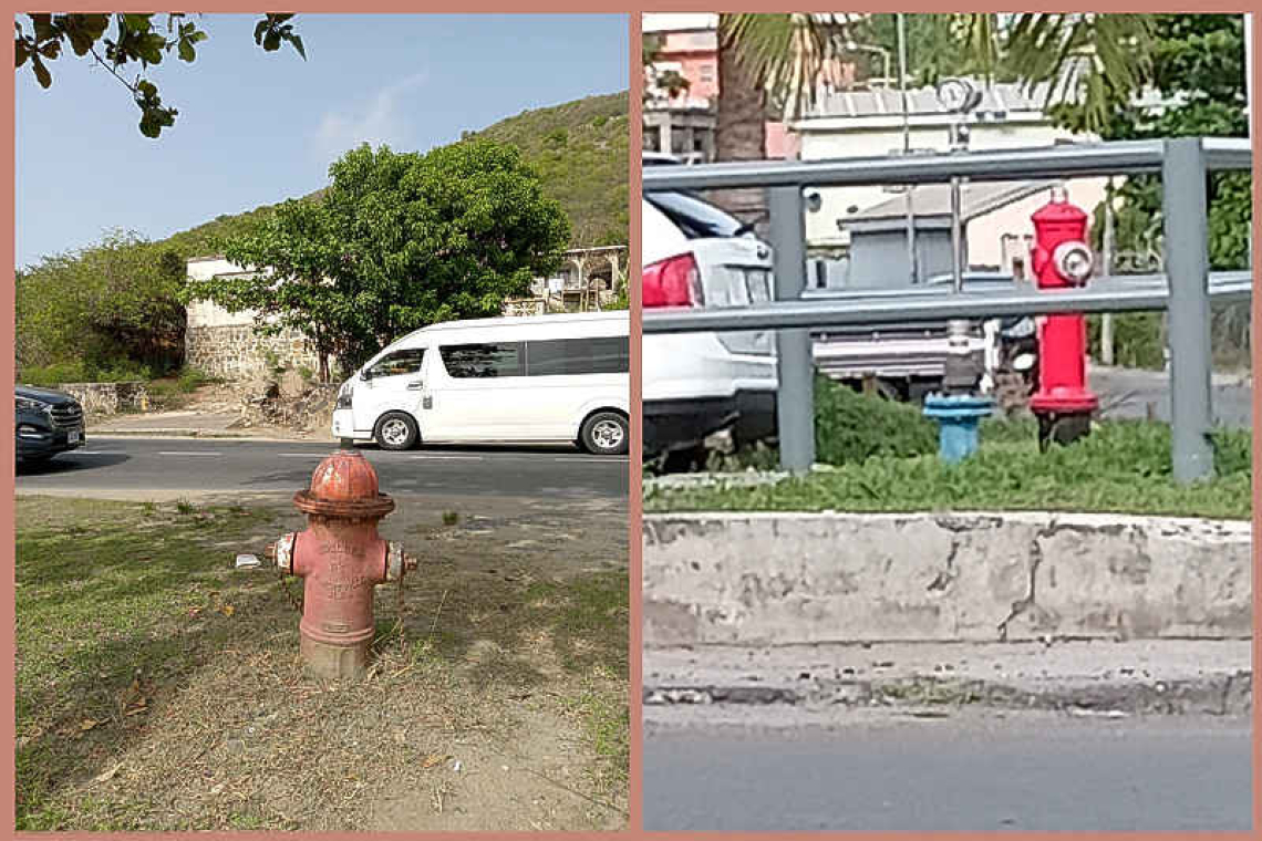 Fire Hydrants: Around the tracks with Coach Tom