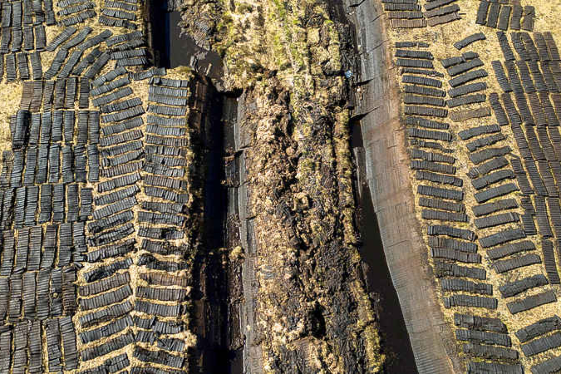 World risks up to $39 trillion in economic  losses from vanishing wetlands, report says