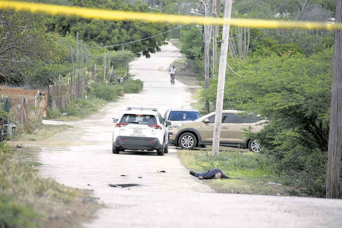 Man is killed  by bee stings