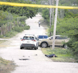 Man is killed  by bee stings