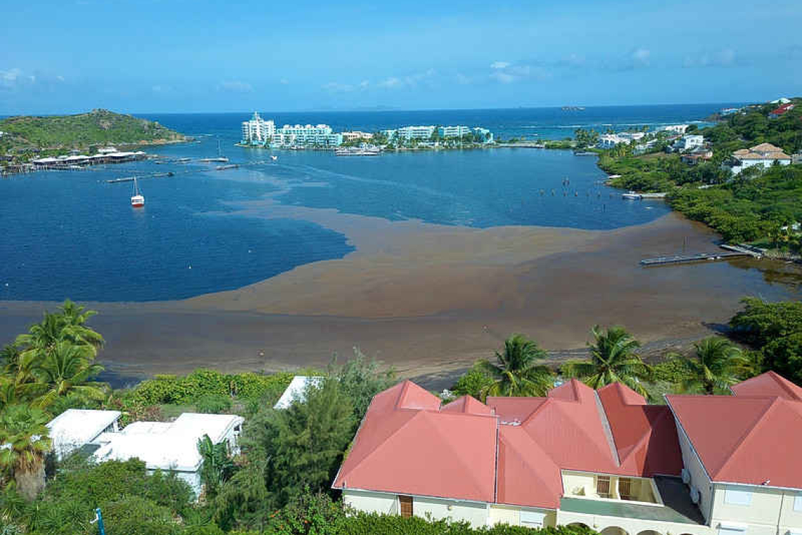 French side anti-Sargassum  collective launches petition
