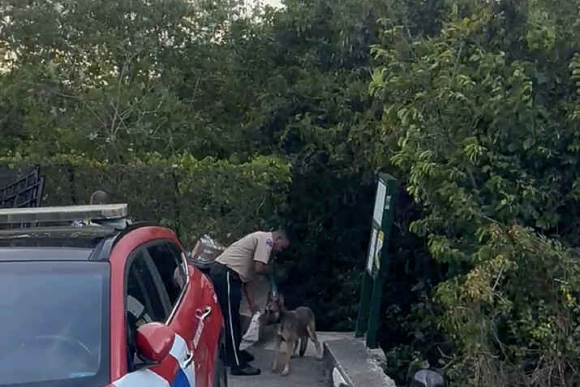 Sniffer dogs called in as search for  missing Saban goes into third day