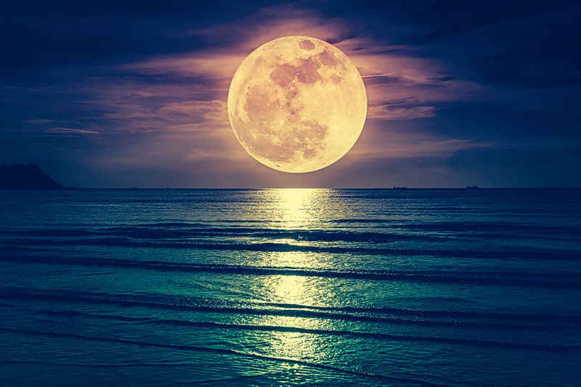 The almost full moon will sit within the stars of Aquarius: Looking up at the Night Sky