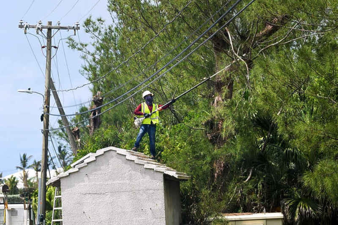    BELCO: trim trees to  avert ‘preventable’ outages