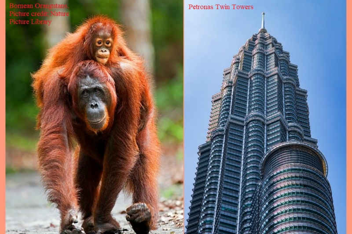 Fun Facts: Malaysia!